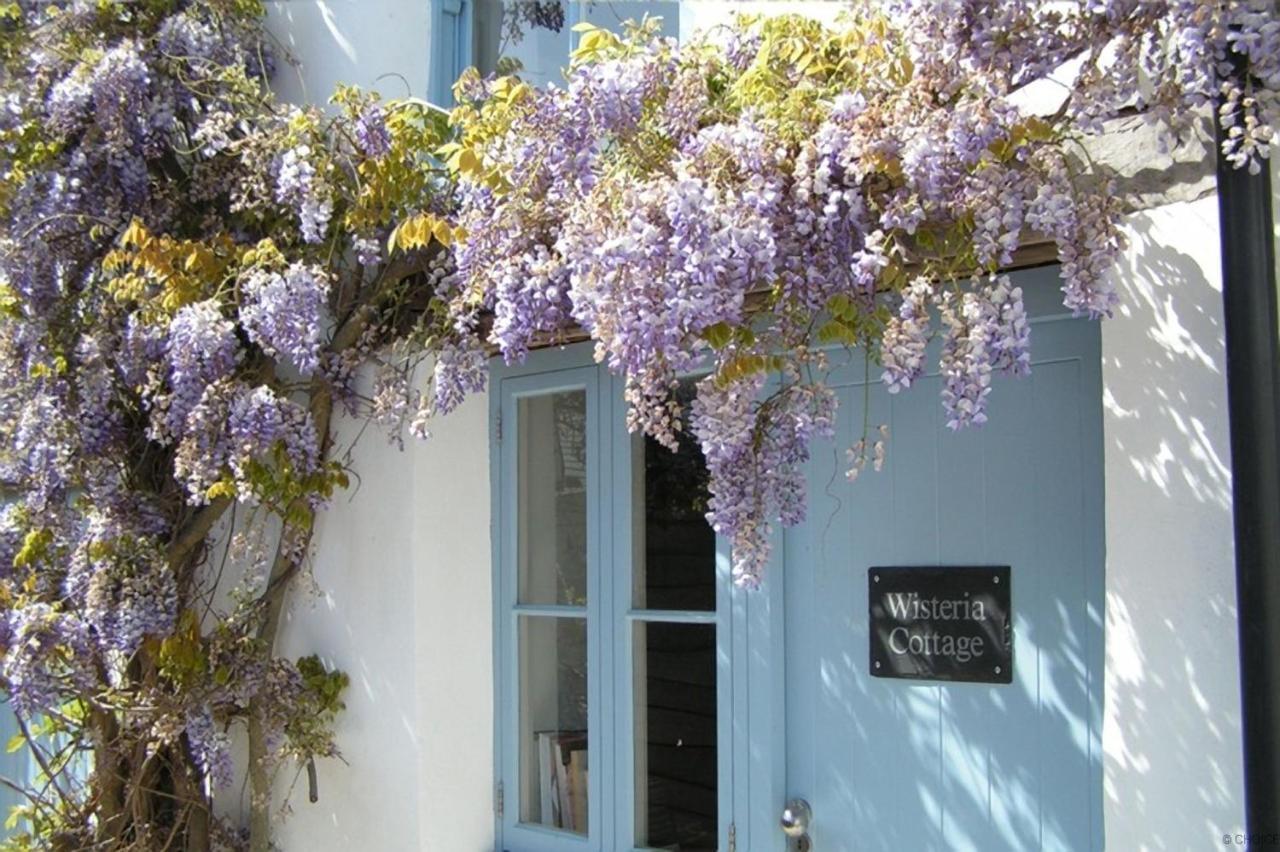 Croyde Wisteria Cottage 4 Bedrooms Exteriér fotografie
